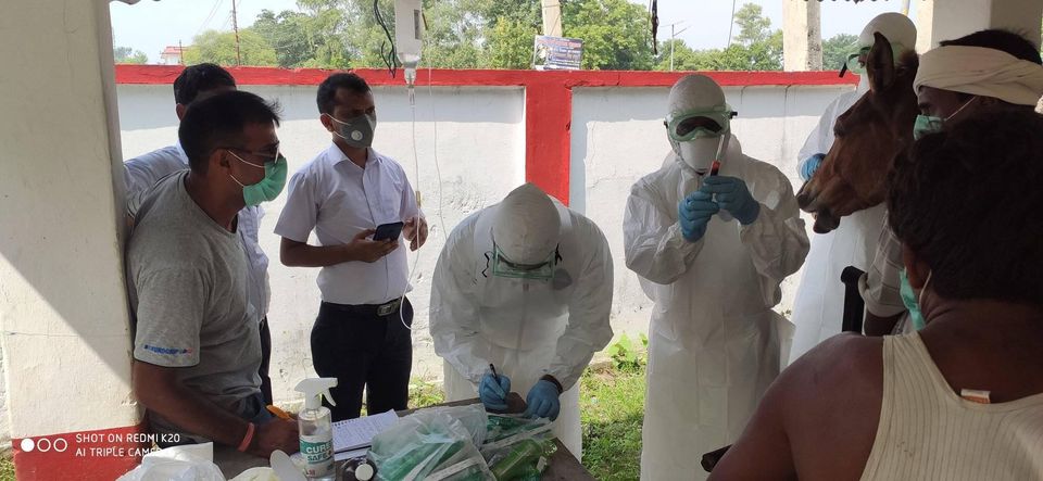 १ दिने पशु स्वास्थ्य शिविर